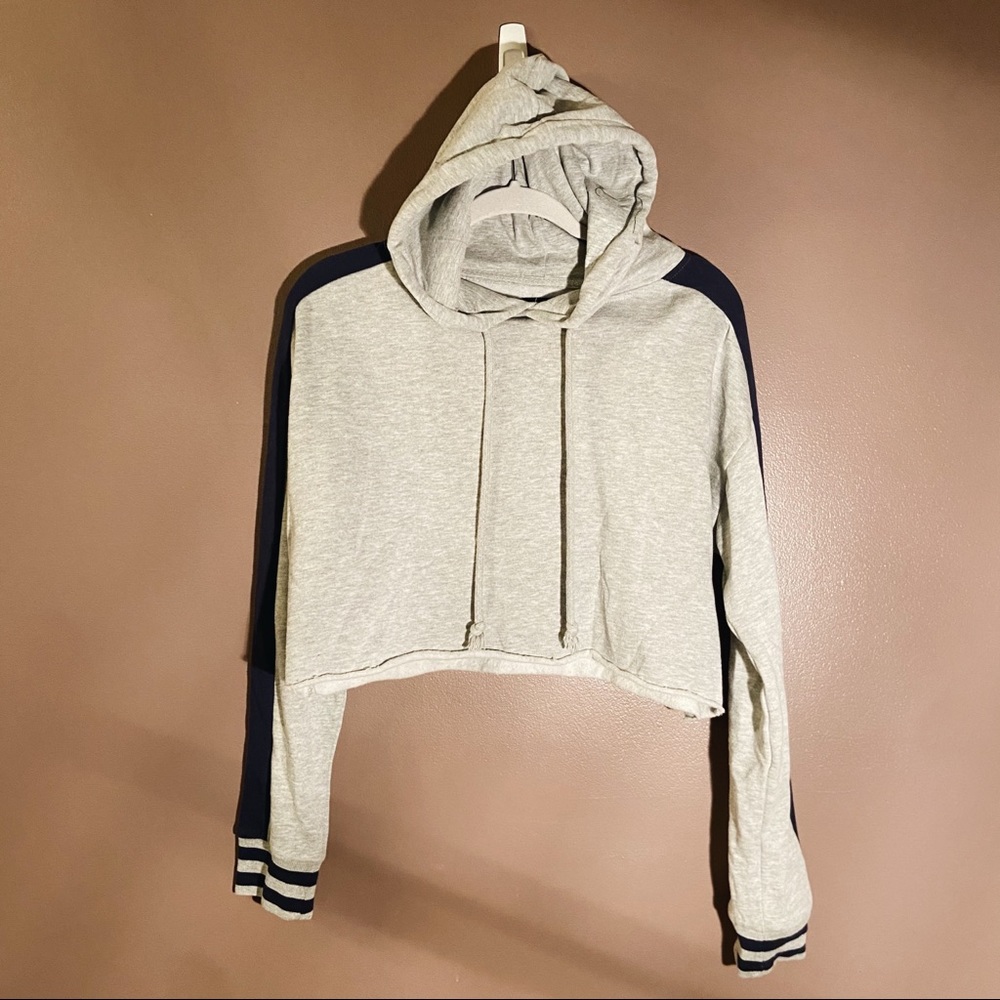 Pacsun Cropped Hoodie